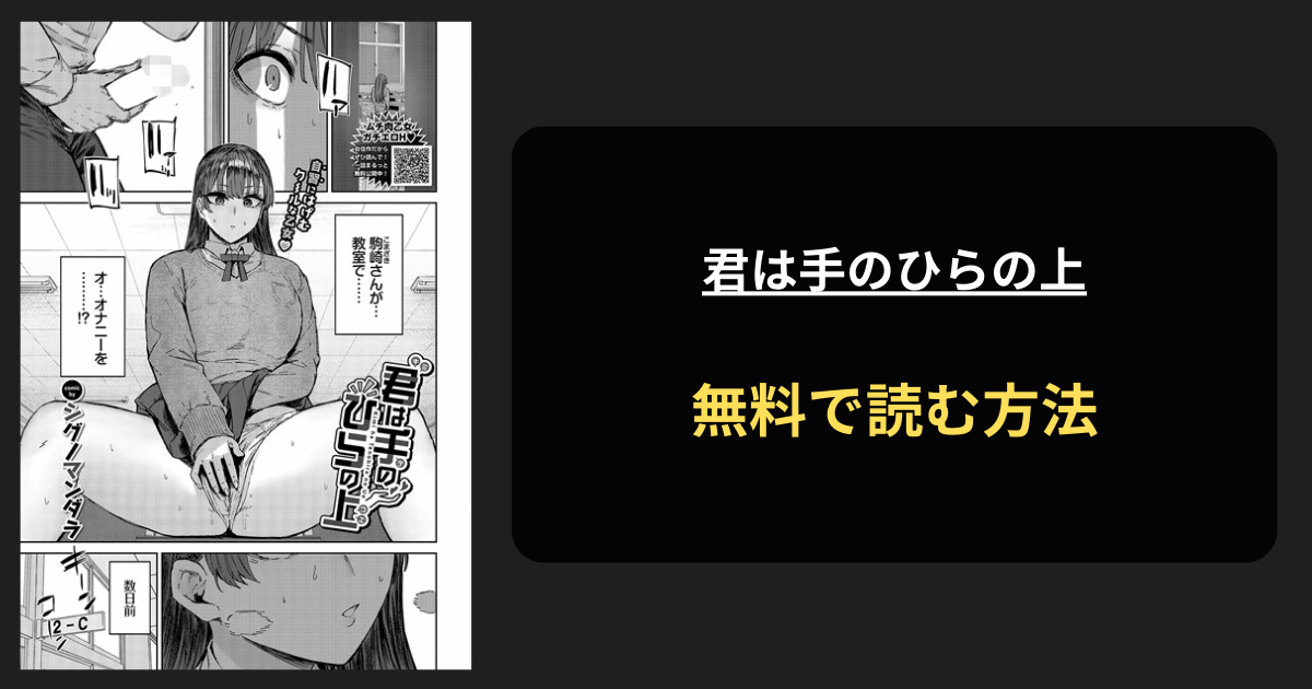 君は手のひらの上 全巻無料で読む方法を発見！hitomiは？